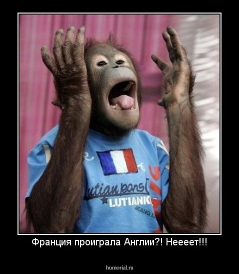 Франция проиграла Англии?! Неееет!!!