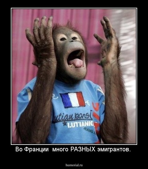 Во Франции  много РАЗНЫХ эмигрантов. 