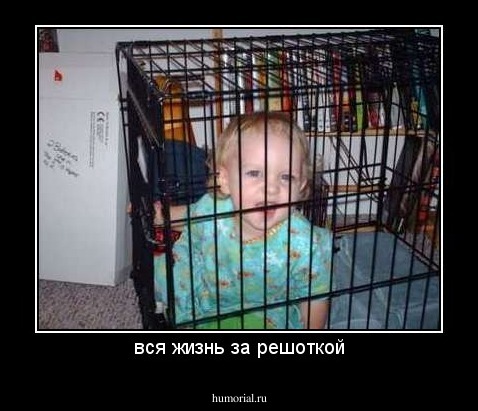 вся жизнь за решоткой