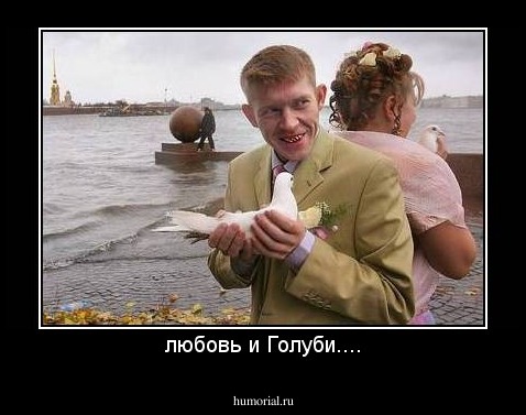 любовь и Голуби....