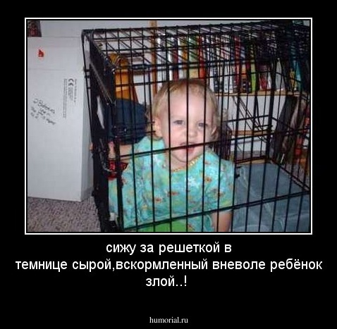 сижу за решеткой в темнице сырой,вскормленный вневоле ребёнок злой..!