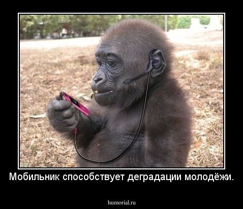 Мобильник способствует деградации молодёжи.