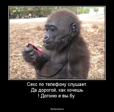 Секс по телефону слушает.
Да дорогой, как хочешь ! Догоню и вы.бу 