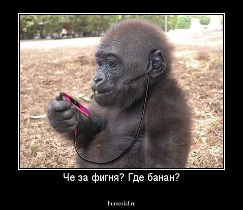 Че за фигня? Где банан?