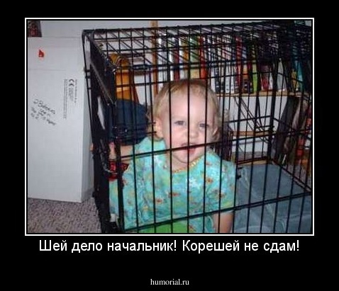 Шей дело начальник! Корешей не сдам!