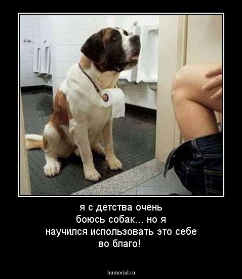 я с детства очень боюсь собак... но я научился использовать это себе во благо!