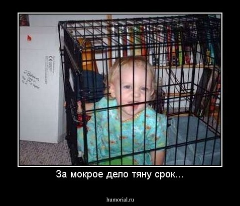 За мокрое дело тяну срок...