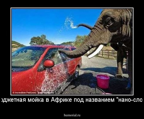Бюджетная мойка в Африке под названием "нано-слон".