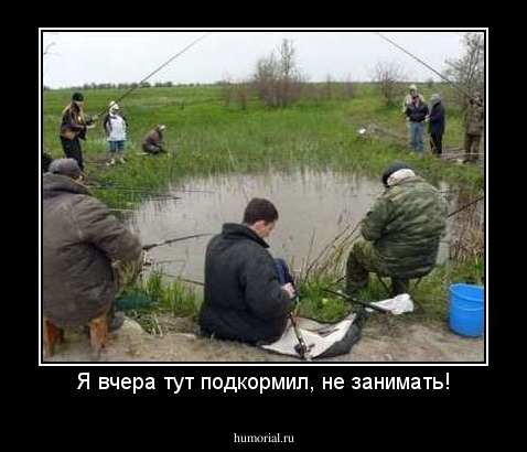 Я вчера тут подкормил, не занимать!