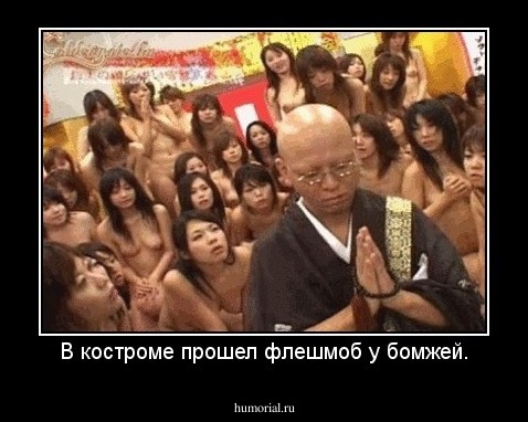 В костроме прошел флешмоб у бомжей.