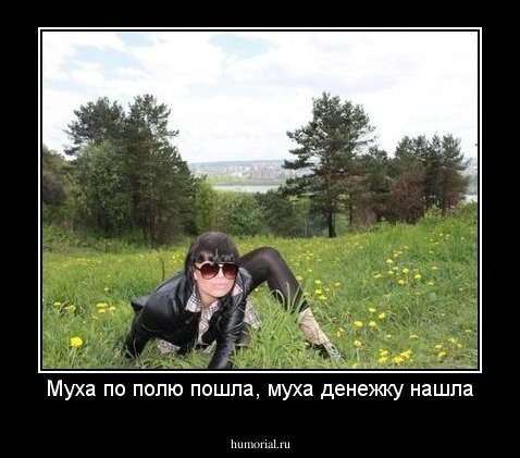 Муха по полю пошла, муха денежку нашла