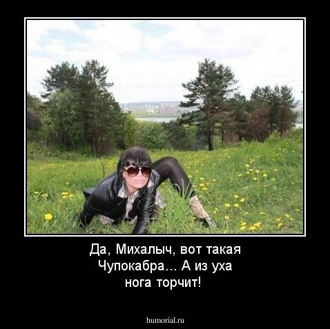 Да, Михалыч, вот такая Чупокабра... А из уха нога торчит!