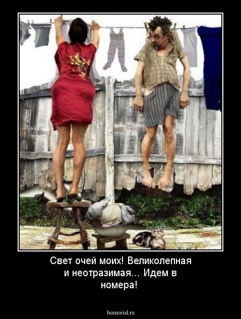 Свет очей моих! Великолепная и неотразимая... Идем в номера!