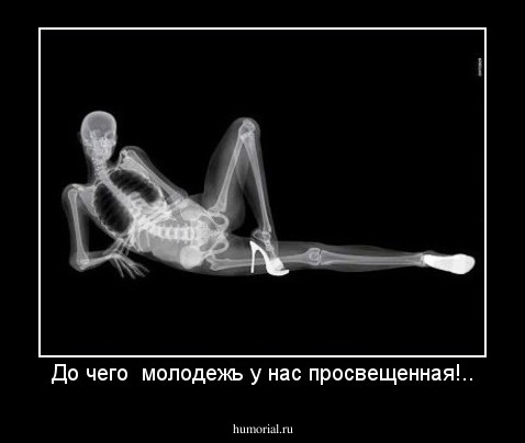 До чего  молодежь у нас просвещенная!..