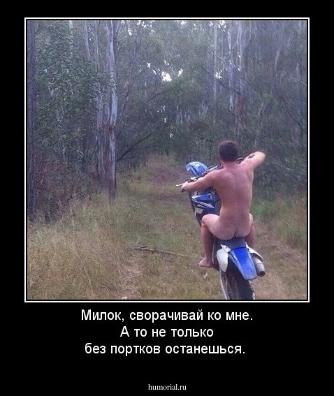 Милок, сворачивай ко мне.  А то не только без портков останешься.