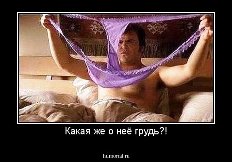 Какая же о неё грудь?!