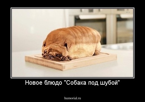Новое блюдо "Собака под шубой"