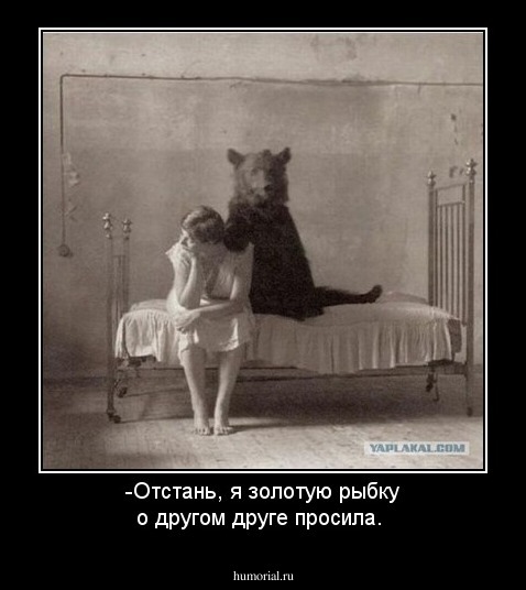 -Отстань, я золотую рыбку о другом друге просила.