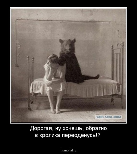 Дорогая, ну хочешь, обратно в кролика переоденусь!?