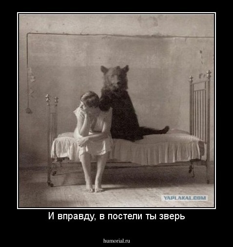 И вправду, в постели ты зверь
