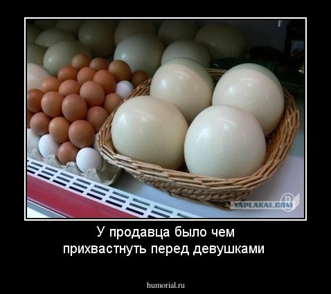 У продавца было чем прихвастнуть перед девушками