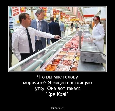 Что вы мне голову морочите? Я видел настоящую утку! Она вот такая: "Кря!Кря!"