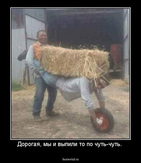 Дорогая, мы и выпили то по чуть-чуть. 