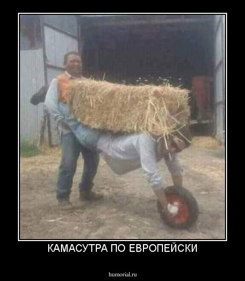 КАМАСУТРА ПО ЕВРОПЕЙСКИ