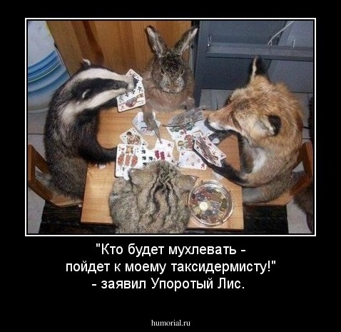 "Кто будет мухлевать - пойдет к моему таксидермисту!" - заявил Упоротый Лис.
