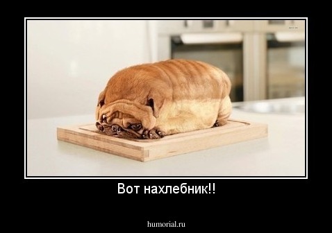 Вот нахлебник!!