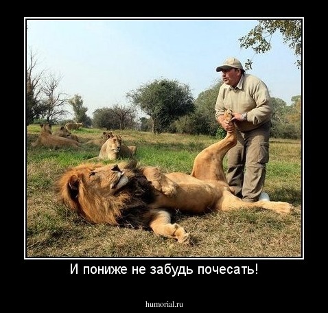 И пониже не забудь почесать!