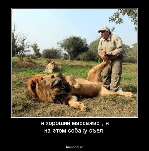 я хороший массажист, я на этом собаку съел