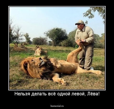 Нельзя делать всё одной левой, Лёва!