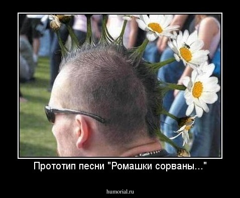 Прототип песни "Ромашки сорваны..."