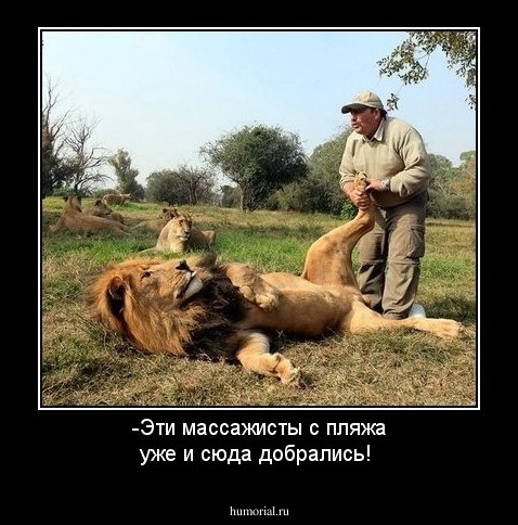 -Эти массажисты с пляжа уже и сюда добрались!