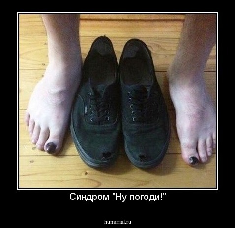 Синдром "Ну погоди!"