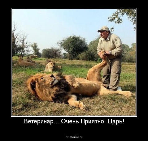 Ветеринар... Очень Приятно! Царь!