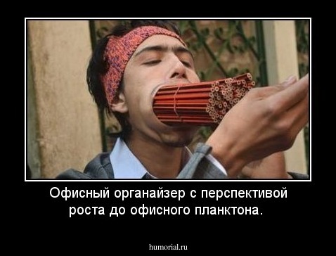 Офисный органайзер с перспективой роста до офисного планктона.