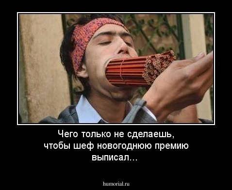 Чего только не сделаешь, чтобы шеф новогоднюю премию выписал...