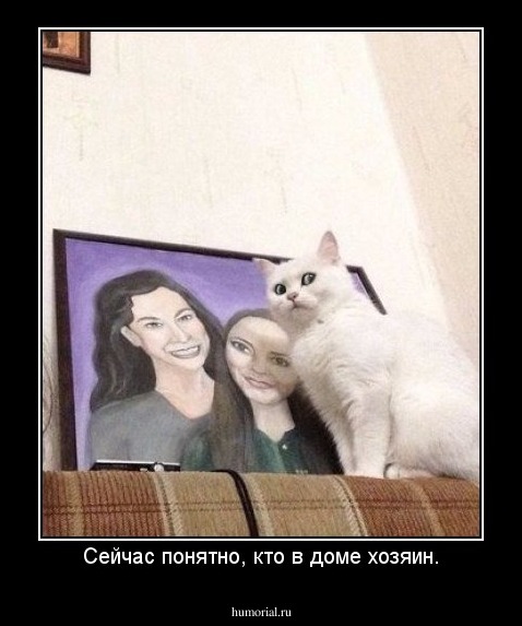 Сейчас понятно, кто в доме хозяин.