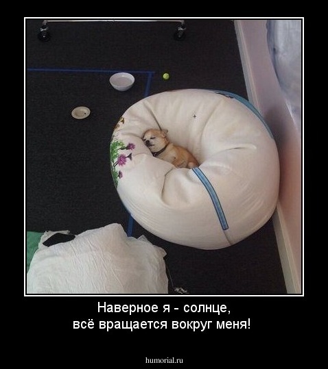 Наверное я - солнце, всё вращается вокруг меня!