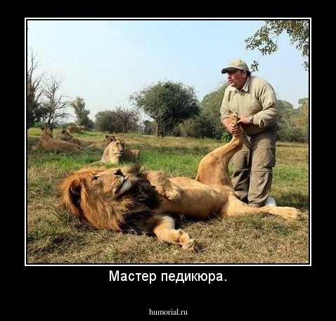 Мастер педикюра.