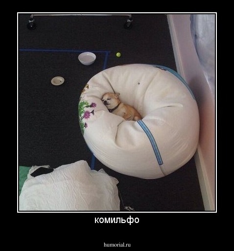 комильфо