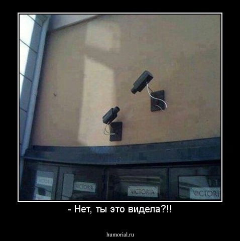- Нет, ты это видела?!!
