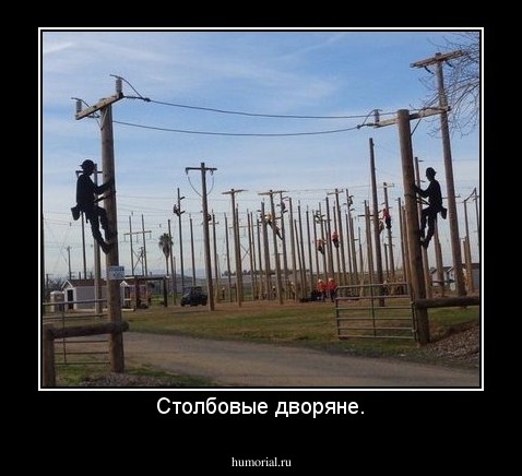 Столбовые дворяне.
