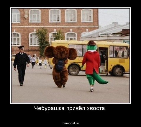 Чебурашка привёл хвоста.
