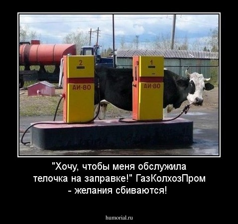 "Хочу, чтобы меня обслужила телочка на заправке!" ГазКолхозПром - желания сбиваются!
