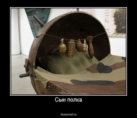 Сын полка