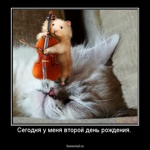 Сегодня у меня второй день рождения. 