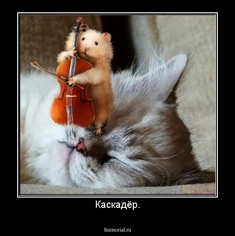 Каскадёр.